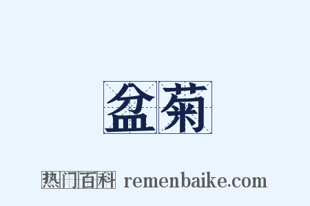 盆菊是什么意思的图片